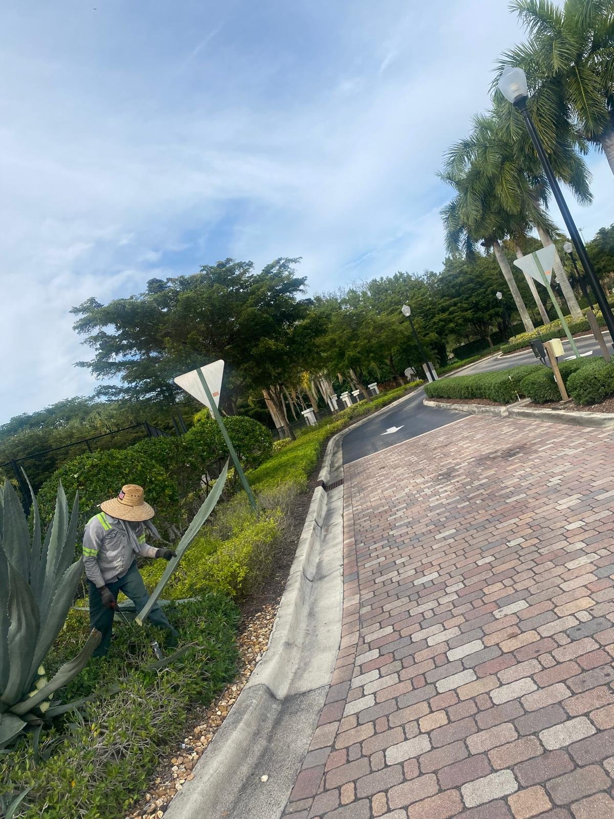 Landscape trimming work by Amaya's Landscaping